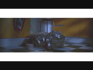 short christmas film about a cat, christmas may come (with translation)