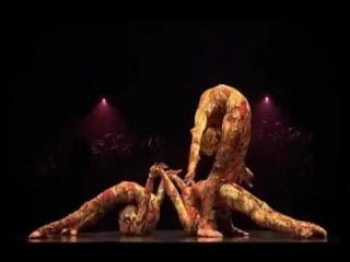 cirque du soleil kooza contortionists