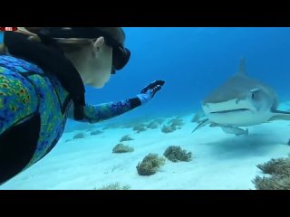 erotica underwater dancing with sharks